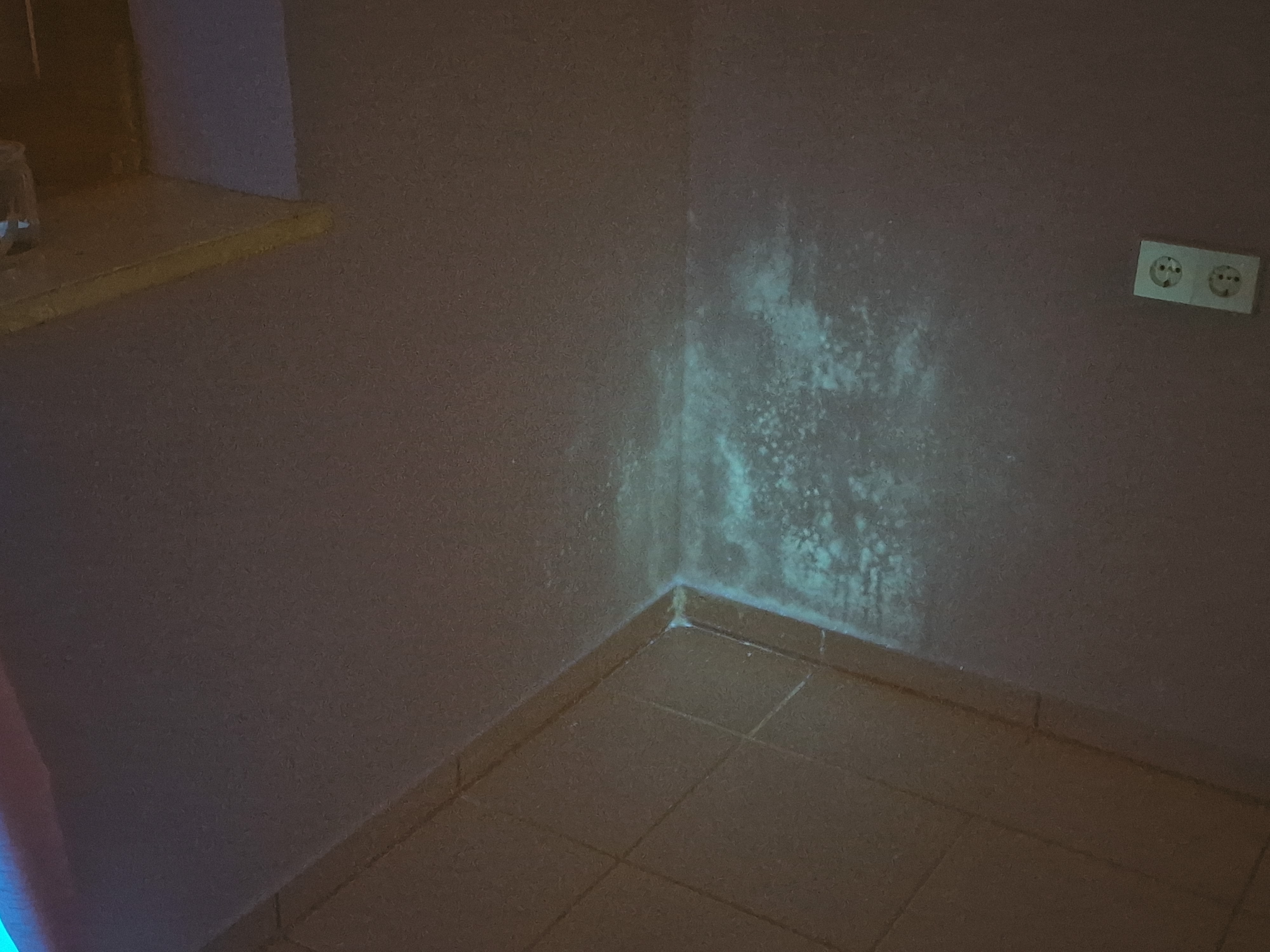 Schimmel U-Wert Messung in Konstanz, Rottweil, Tuttlingen, Überlingen, Ravensburg,Pfullendorf, Waldshut, Friedrichshafen, Engen.....